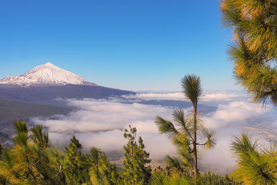 Panoramic view of trees and mountain against blue sky
