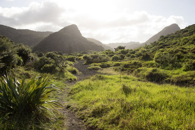 Scenic view of landscape and mountains against sky