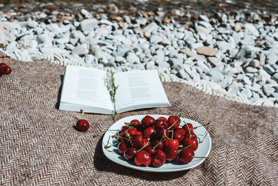 Book on plaid, fresh cherries plate. summer romantic rustic picnic on the beach, vacation and rest