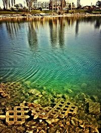 Reflection of trees in water