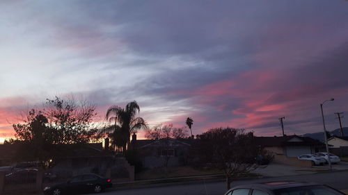 Silhouette of trees at sunset