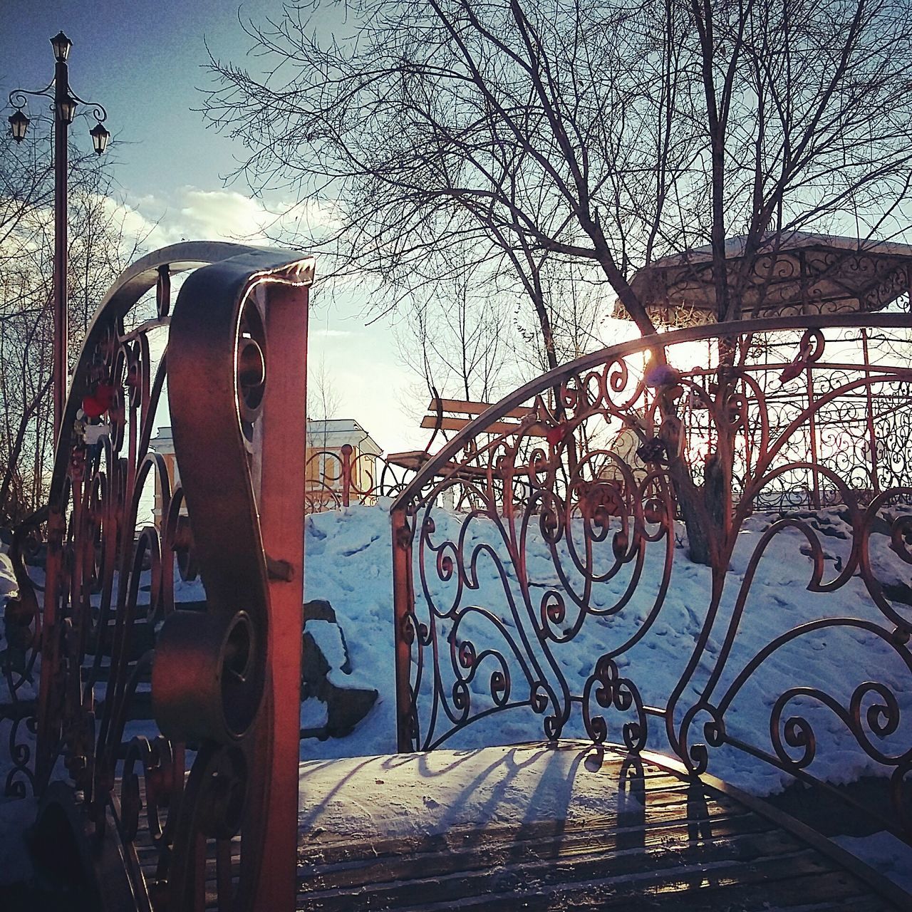 tree, bare tree, sky, bicycle, metal, transportation, railing, land vehicle, branch, stationary, no people, absence, parking, outdoors, built structure, dusk, mode of transport, day, lighting equipment, sunlight