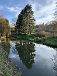 Reflection of trees in lake against sky