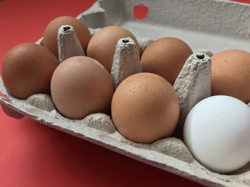 Close-up of eggs in container