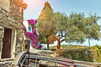 Trees by house against clear sky