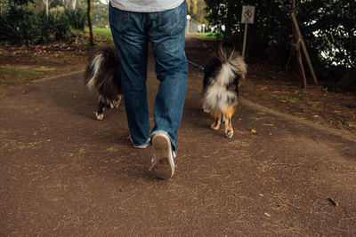 Low section of man with dog