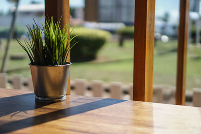 Close-up of potted plant on table