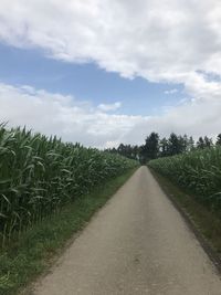 Road amidst field against sky