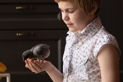 Midsection of girl holding chicken bird