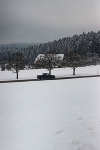 Scenic view of snow covered tree against sky