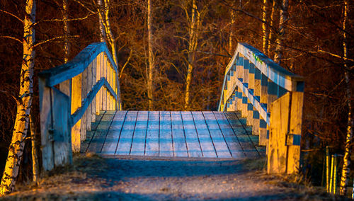 Bridge in forest at sunset