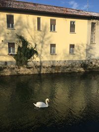 Bird on a building