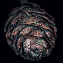 Close-up of ice cream over black background