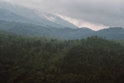 Scenic view of trees and mountains against sky