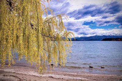 Scenic view of lake against sky during autumn