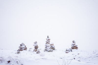 snow