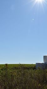 Scenic view of field against clear blue sky