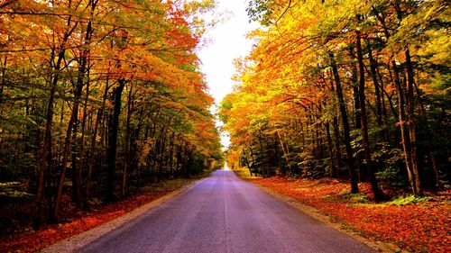 Road amidst trees in forest during autumn