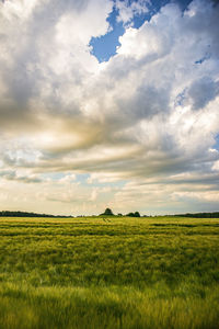 Scenic view of field against sky