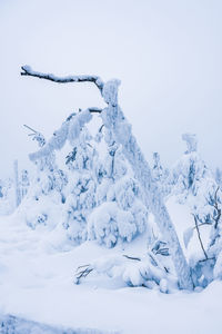 Snow covered land against sky