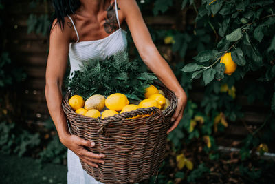 Woman holding fruits in basket