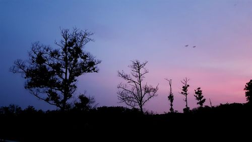 Low angle view of silhouette trees against sky at sunset