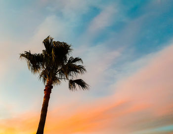 Low angle view of silhouette palm tree against romantic sky