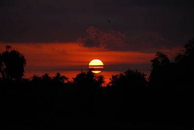 Silhouette trees by sea against orange sky