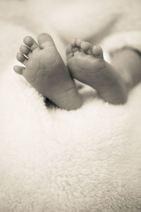 Close-up of baby feet