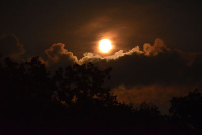 Silhouette bird against sky at night
