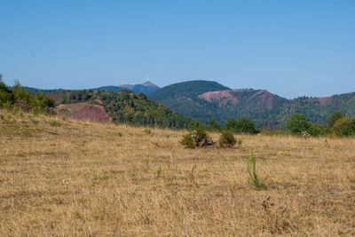 Scenic view of field against clear blue sky