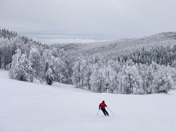 Rear view of person skiing on snow covered land