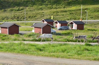 View of a house on a field