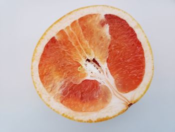 Close-up of orange slice against white background