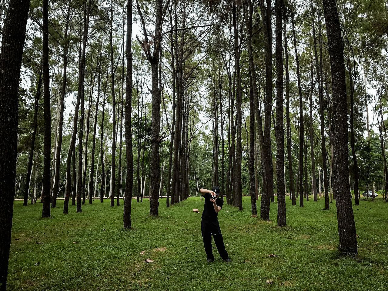 PANORAMIC SHOT OF MAN STANDING ON LAND IN FOREST