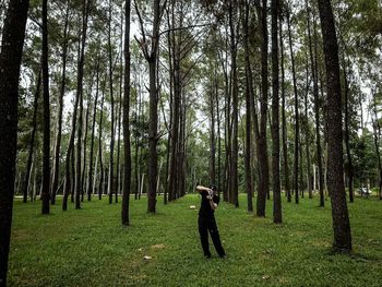 Man standing amidst trees in forest