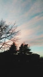 Silhouette trees against sky during sunset