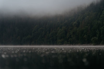 Water surface of lake by forest during foggy weather