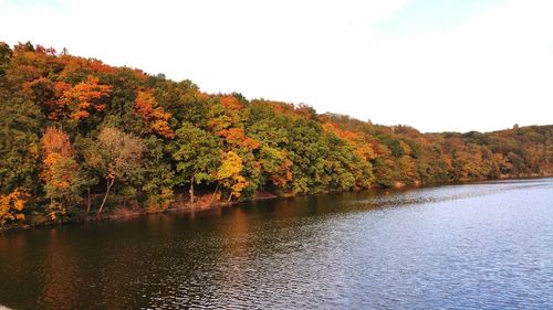 Scenic view of lake by trees against clear sky