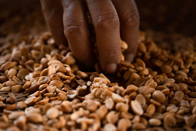 Close-up of hand holding coffee beans