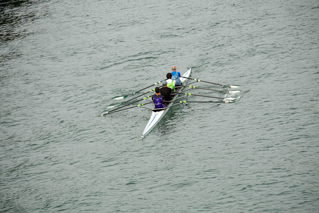 water, nautical vessel, transportation, high angle view, boating, rowing, mode of transportation, men, day, sports, water sports, nature, waterfront, teamwork, cooperation, oar, togetherness, lifestyles, recreation, boat, group of people, vehicle, motion, outdoors, competition, adult, leisure activity, river, paddle, sculling, watercraft, rowboat, boats and boating--equipment and supplies, sport rowing