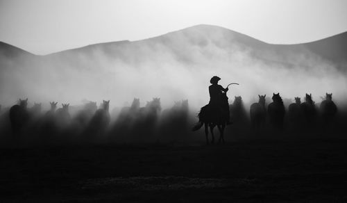 Silhouette man horseback riding on field against sky