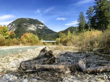 Scenic view of river against sky
