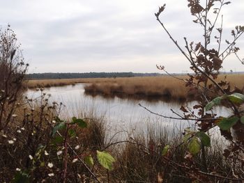 Scenic view of lake against sky