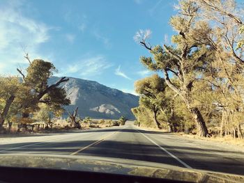 Road by trees against sky