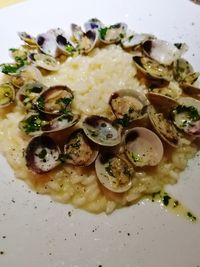 High angle view of meal served in plate