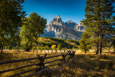 Scenic view of field and mountains against sky