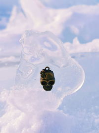 Close-up of skull jewelry in ice