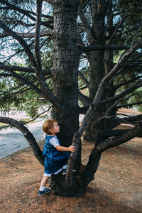 Little girl walks in the garden among beautiful evergreen southern plants