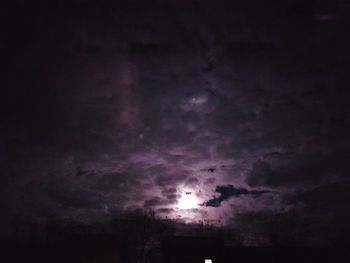 Low angle view of silhouette purple sky at night